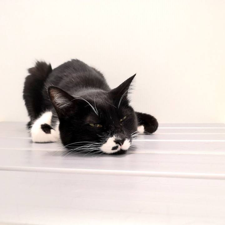 C1efb4d6 3d13 4ecc bfb5 d2dc09fb5d26 1550404215691