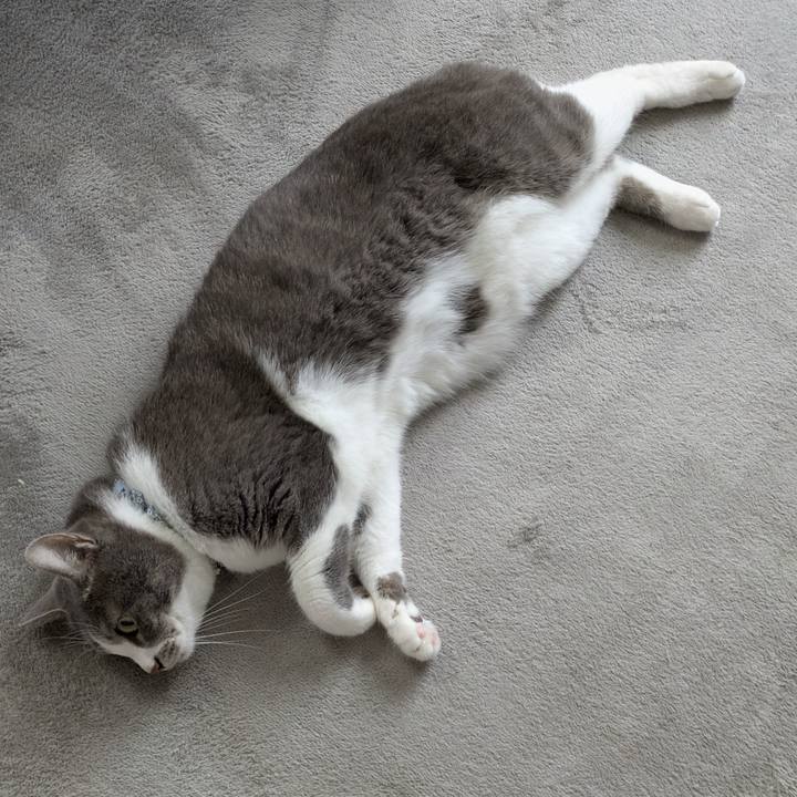 C1efc5d4 e744 46f1 a374 75871dd777d5 1752817582060