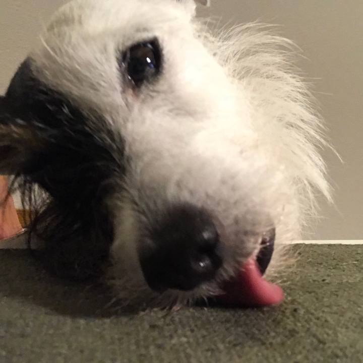 C1efd0b5 f6c6 4843 b4be 935a49514c9b 1528718718895