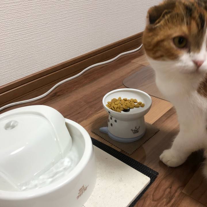 C1efd13c 1156 4fde b346 6bbc936e88e1 1529401034699