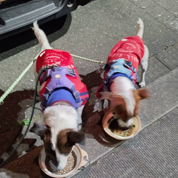 C1efdda4 58c4 4cda a6e5 d6444cb9c83c 1650717927174