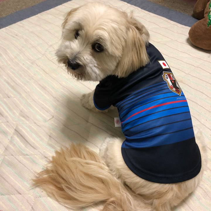 C1f00b90 02fb 4c58 a153 83c9660a713f 1530542425478