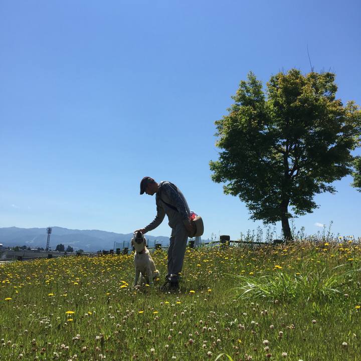 C1f04411 6745 40a1 a840 5c6eb682f21b 1549636723816