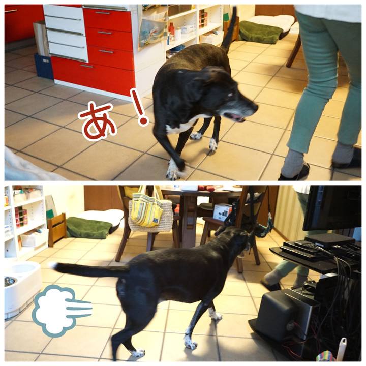 C1f0508a 1cf7 4e5c 97b7 98afe1d01dad 1761436201338