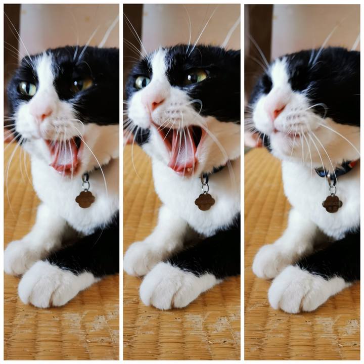 C1f09754 eda2 4588 be10 e773f7e5ce78 1630733097811