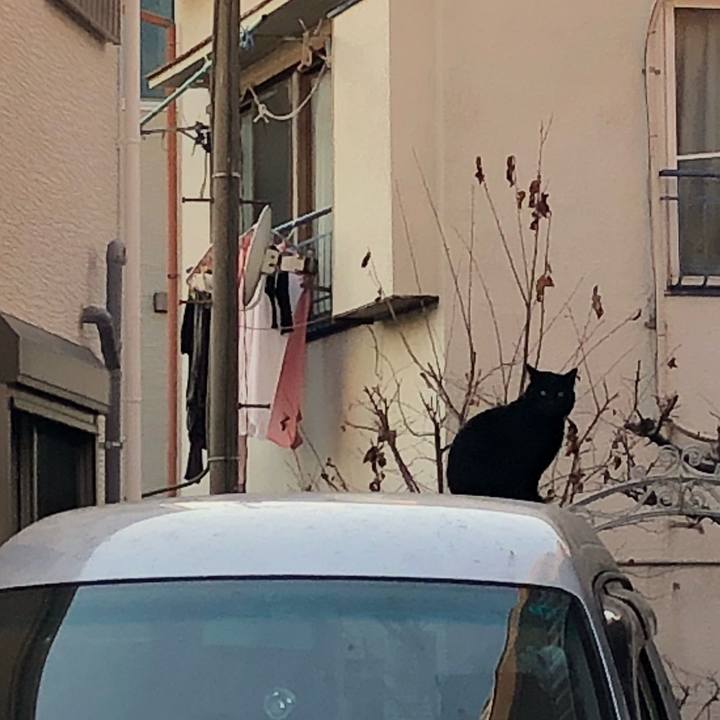 C1f0d908 899c 4ee6 8bf2 a1fb5735b58d 1519128098663