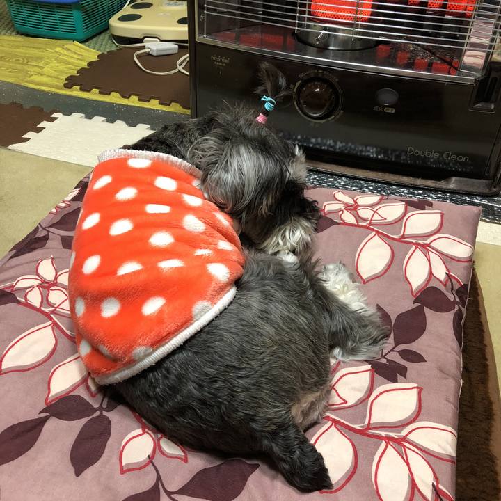 C1f0effa e9dd 48d8 a4a9 0d72283fa7c7 1520416490270