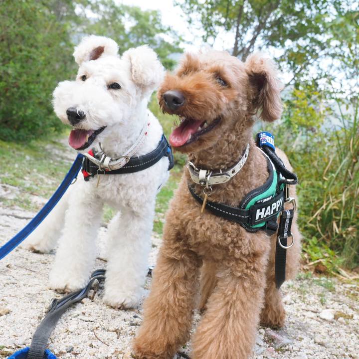 C1f0fba7 4d6b 460c 8e1d 2e080ef7dbf4 1540234293830