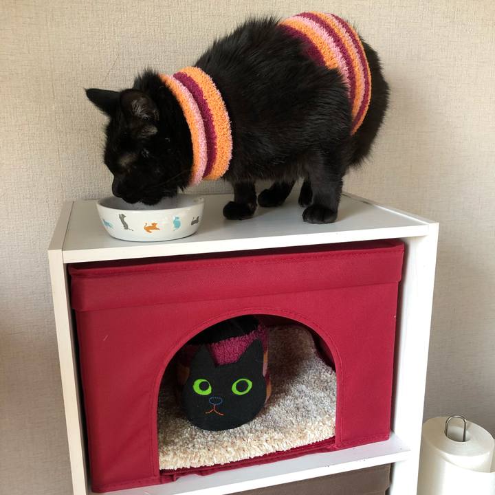 C1f103d0 cd69 46ce 935b 6a51dc46cb83 1587939816537