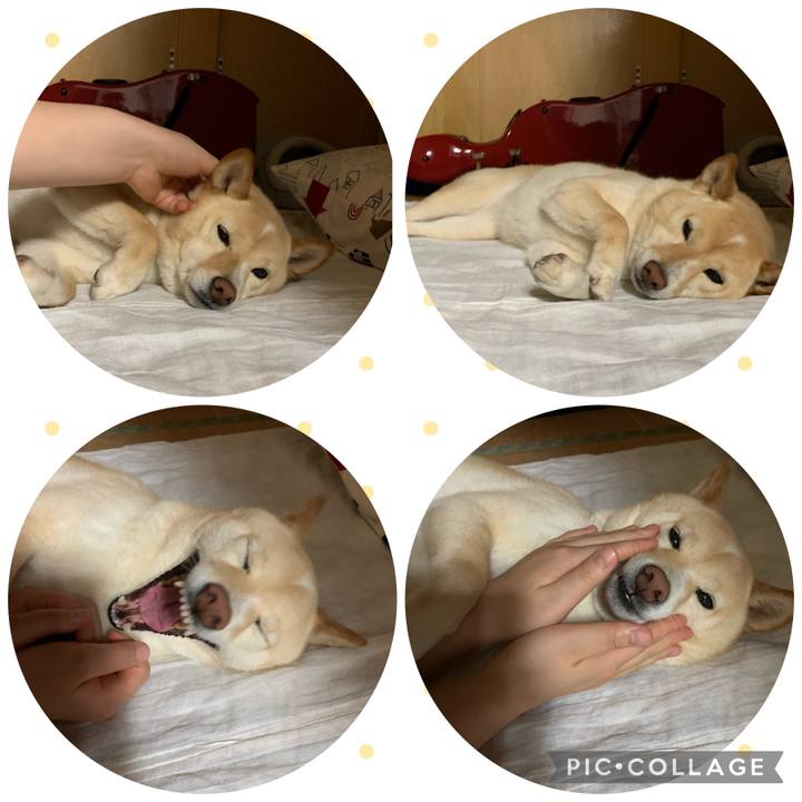 C1f15cfa 90ba 44f2 9e38 8707275ee61f 1655594281859