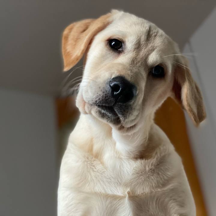 C1f15fa0 c332 4e16 991d f893d4b86a93 1613773247016