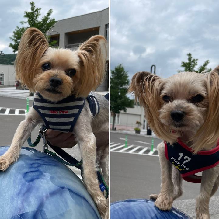 C1f1cec1 de04 47fe 92ae 11785dc3ff9b 1628936149065