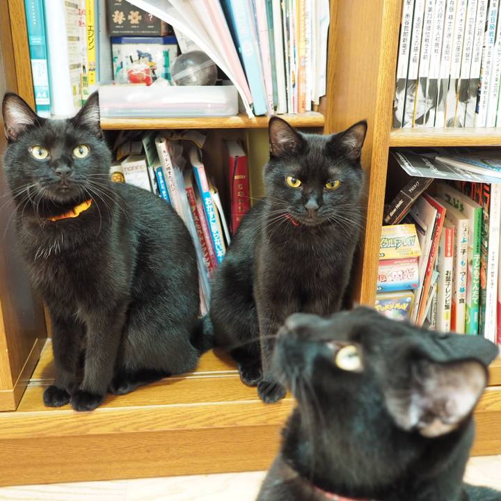 C1f1d37b 66cb 4ed5 b27c cc73d3d78b75 1534375508886