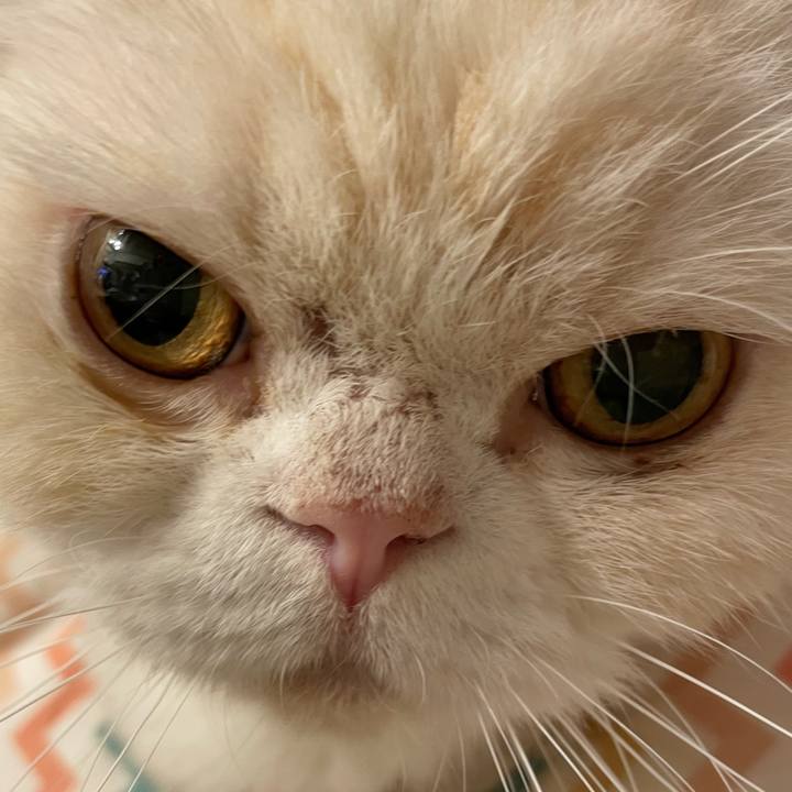 C1f1daa6 b8ff 45be 8511 d5acfc645269 1766745668975