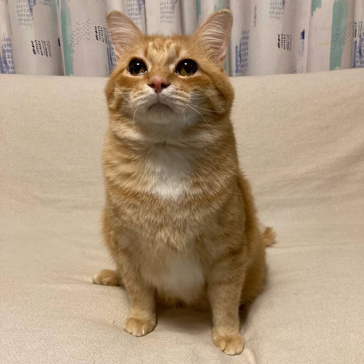 C1f2597c b187 4593 97ec 6c6a31519d03 1767701515225