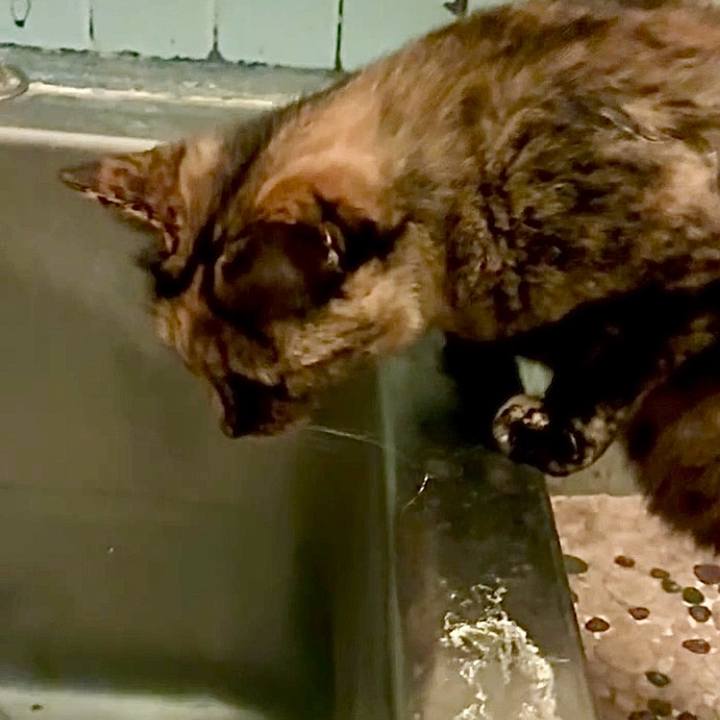 C1f27db8 56bb 4412 a16f bcdc6b73f2d3 1752266420270