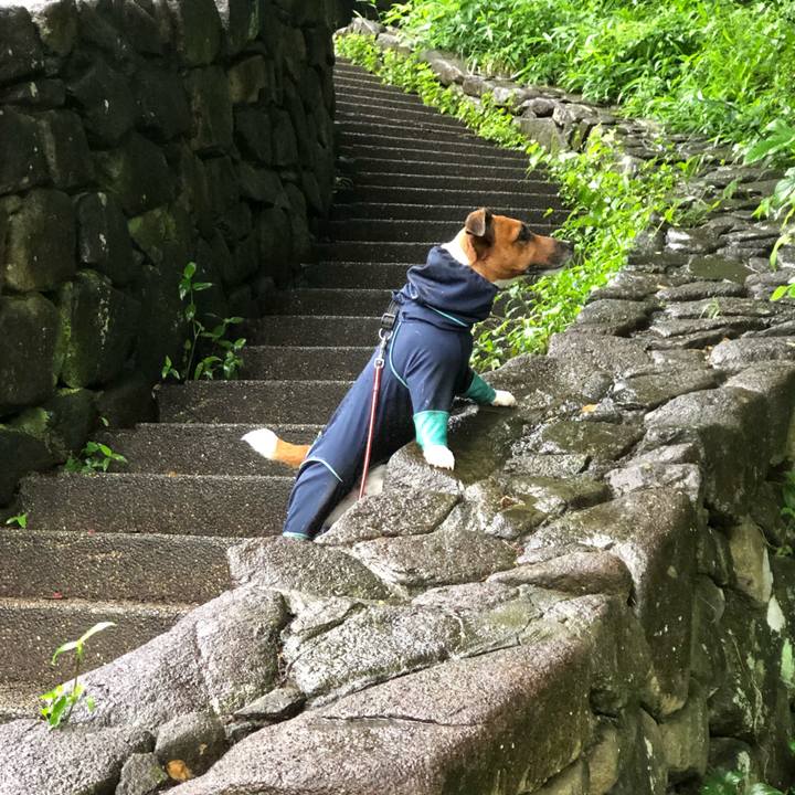 C1f28bcc e362 4df0 967e 681cd69f0307 1529793883645