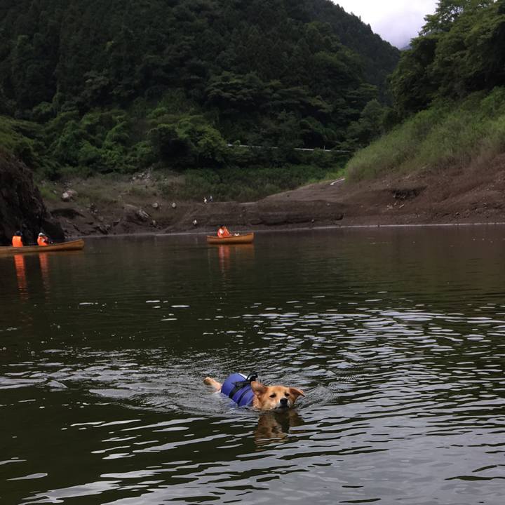 C1f2d506 8ab8 4285 865c 3c73c2dc523a 1530951004595