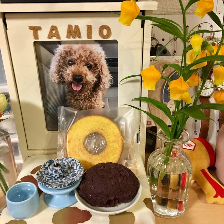 C1f2e148 071f 4def aaaf 92905e2451cf 1622642709283