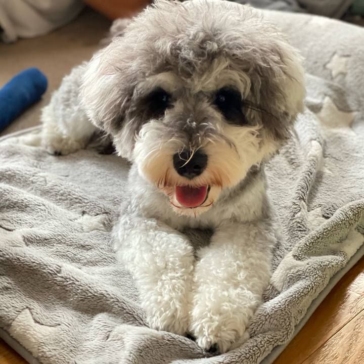 C1f31549 b081 439d 9fd9 f54de1f116a7 1602313105735