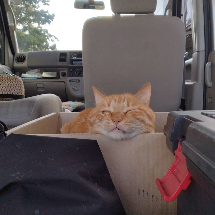 C1f32822 364d 4ca7 95fa 58962c80a2d6 1719395178099