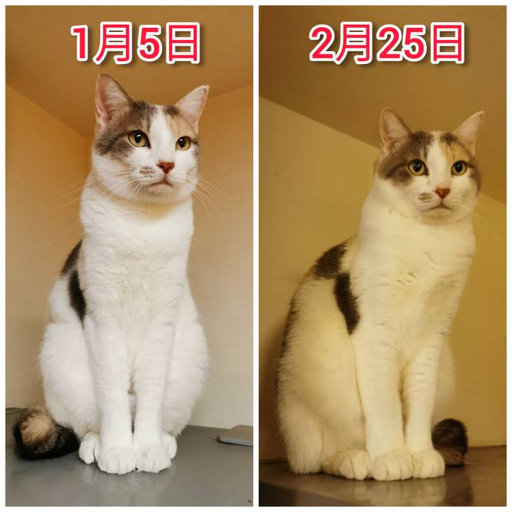 C1f344f8 aef4 46bd a2de 64660dae3265 1646463779554