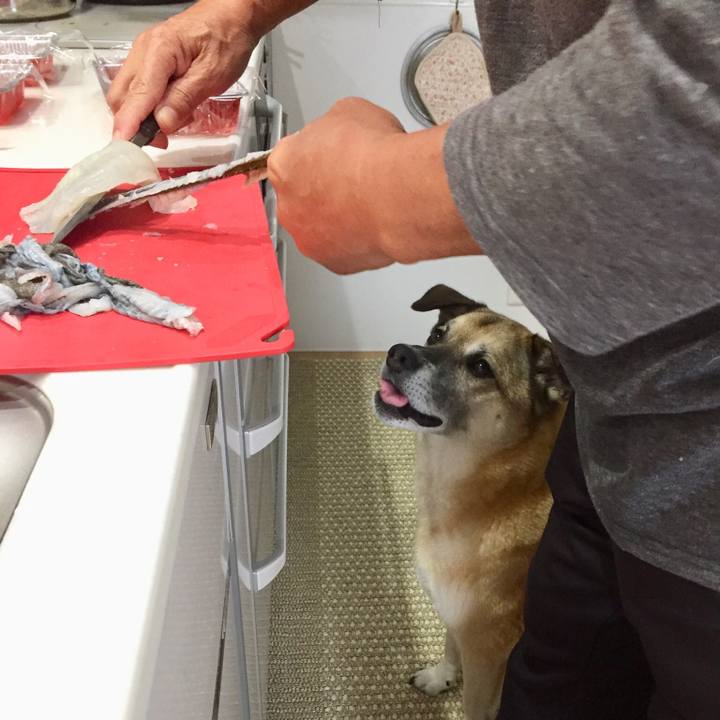 C1f36917 5412 4328 bc03 4bc5faf6f703 1539151623112