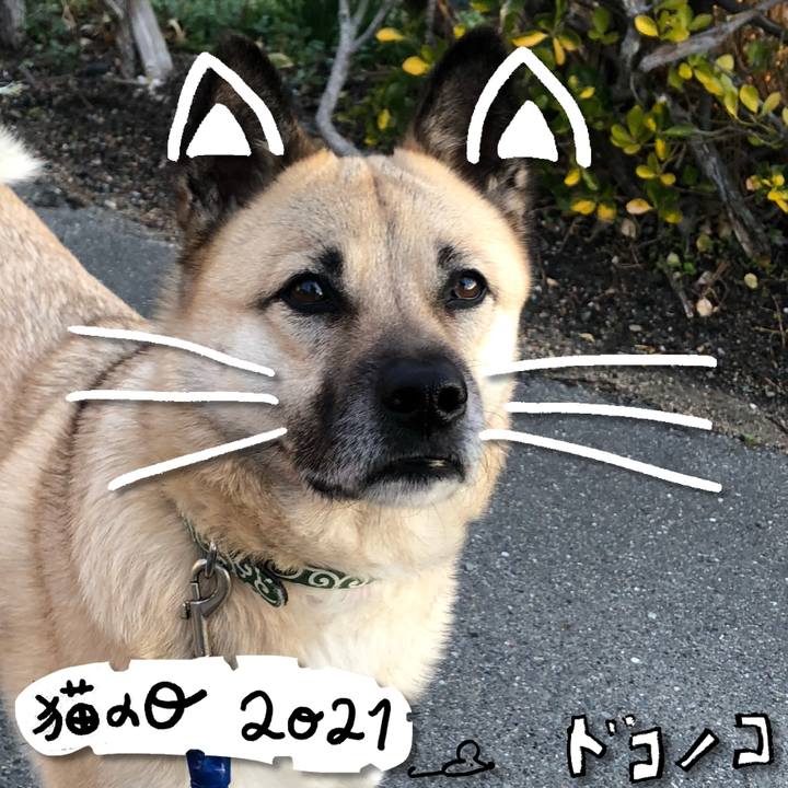 C1f385b2 f0d7 4c02 acb7 ca6aceed24df 1613998069009