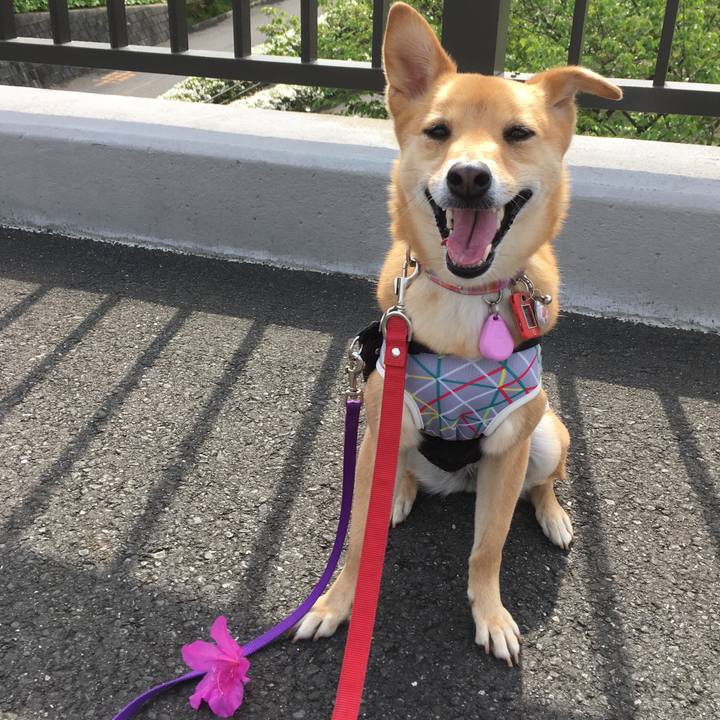 C1f38cee abdf 469f bb21 e31551e2c7d8 1556867838196