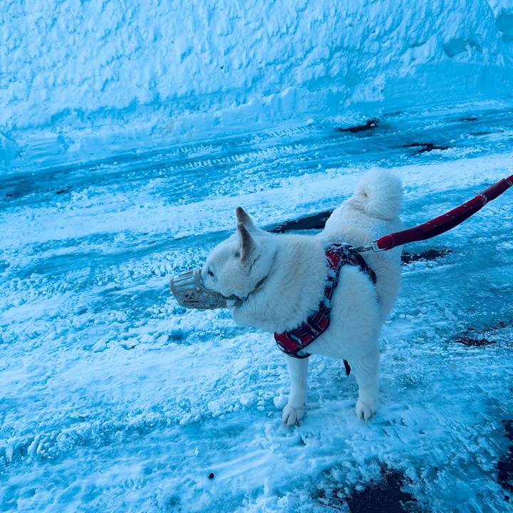 C1f3ad88 392e 4e46 8147 2c35620d75ce 1709077264451