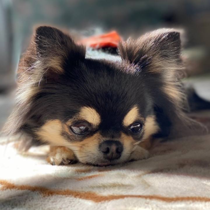 C1f3b449 1d5f 43a2 bef8 9f2412db1e58 1615427512947