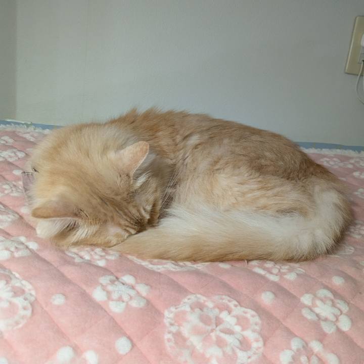 C1f3b4e2 1946 4693 947c ece36f9fb447 1729821115605