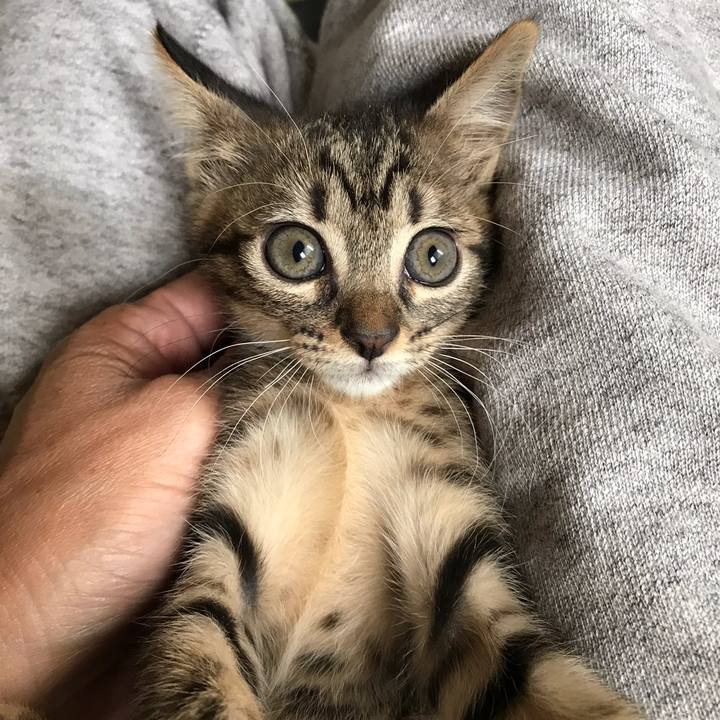 C1f3cc6b 4d67 4a05 a47a a4c339a3ddb5 1558496397287