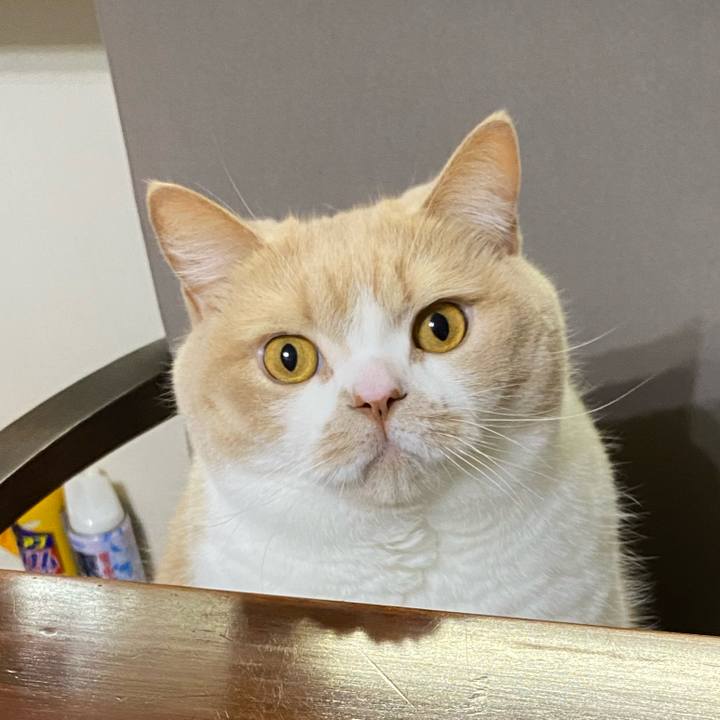 C1f3ed79 c75b 4b27 8eb3 9d91b5b5ffd8 1640961434714