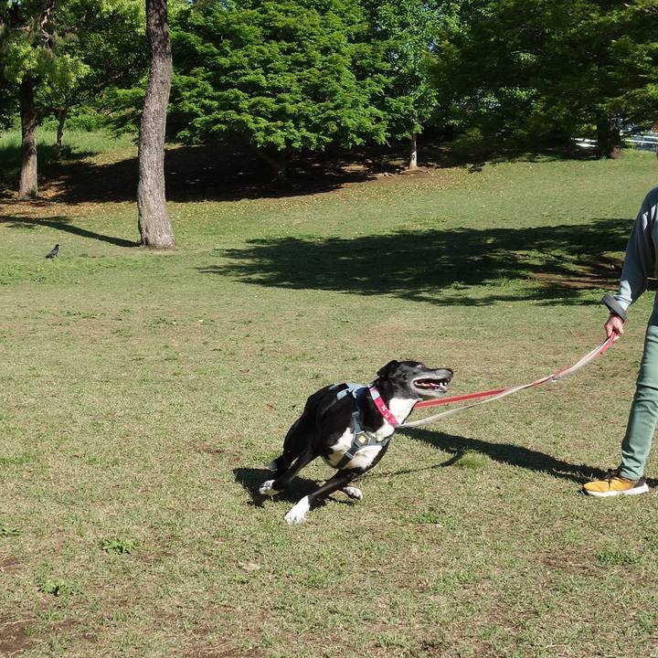 C1f441c1 5a6f 4709 9c34 51e70c630baf 1745972860892