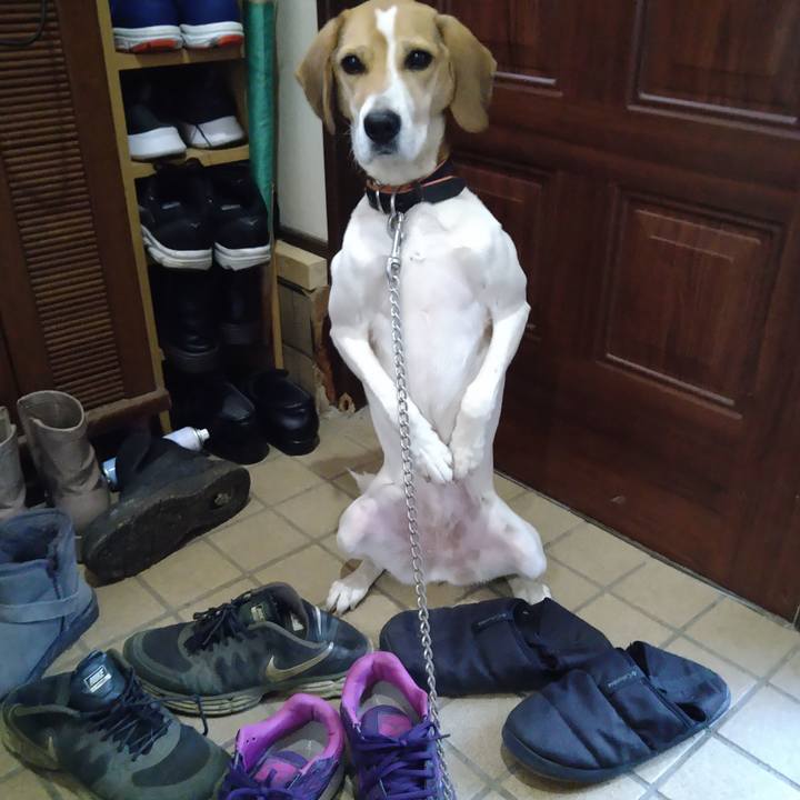 C1f452ed e6d7 4449 b8a8 2bfa8a261c02 1639469556781