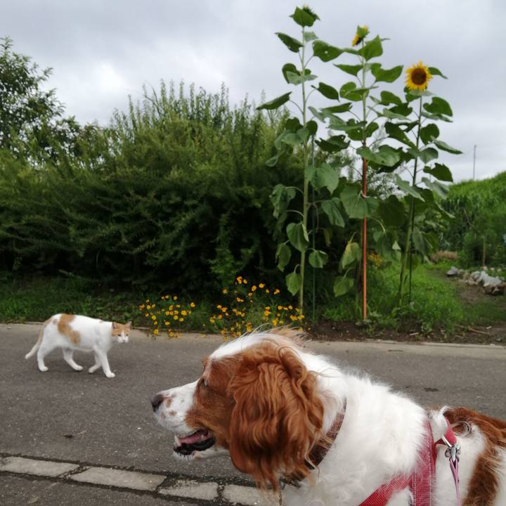 C1f458a4 3a0c 4c20 9434 e178a8049872 1594195795531