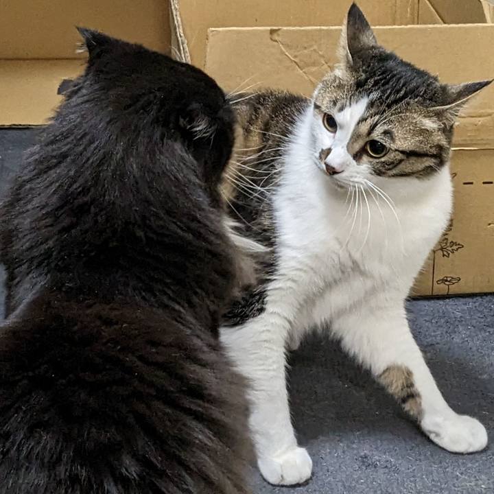 C1f45cc3 a589 46b9 aacb d332fee8250b 1681126104797