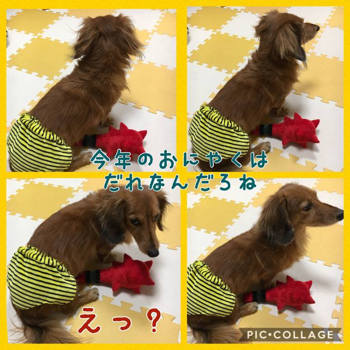 C1f48572 934c 43a7 a9a8 006002635e04 1517649026800