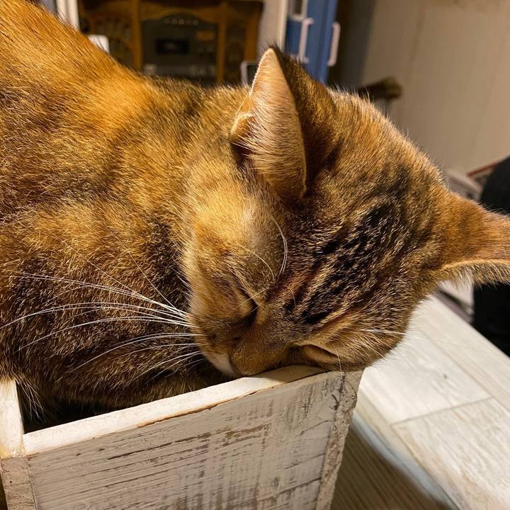 C1f4861b 2e61 4aa6 8ef7 131a65f12532 1605449546434