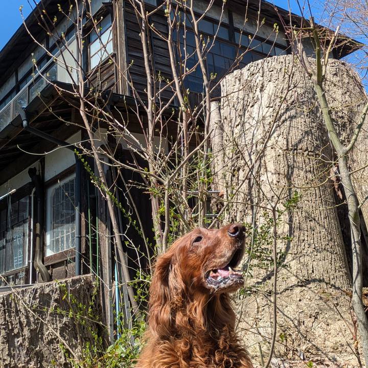 C1f4d985 912b 4263 a9d4 9c148caa1b45 1775634289961