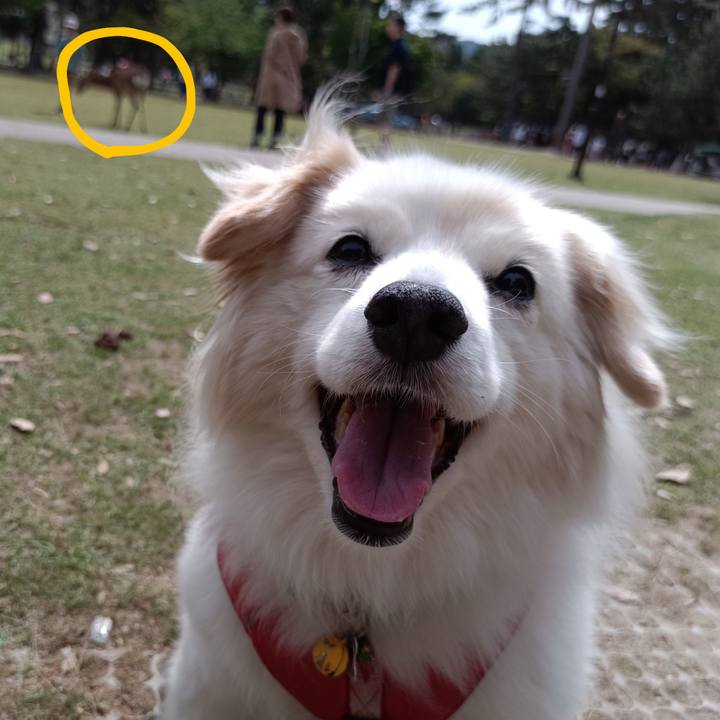 C1f539cc 9b4a 4e90 90a1 60003c0febfd 1683249634370