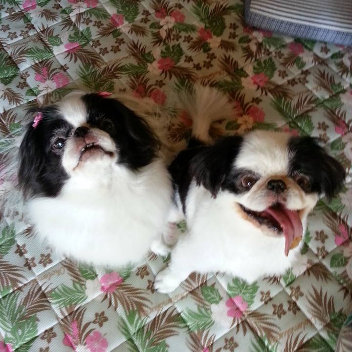 C1f5439f a08d 4d01 9148 27af3d20cc91 1665286063227