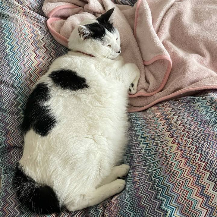 C1f579bb 75de 46a6 9b32 2e1c8884c7fb 1614903499482