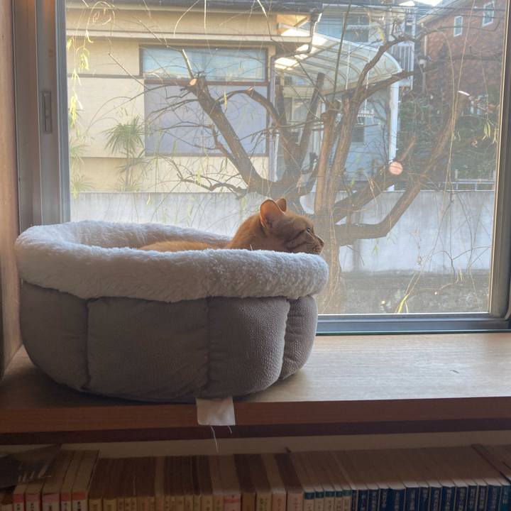 C1f57f9e 45a3 4eaa a0fd 0fa28798f2b6 1736729369504