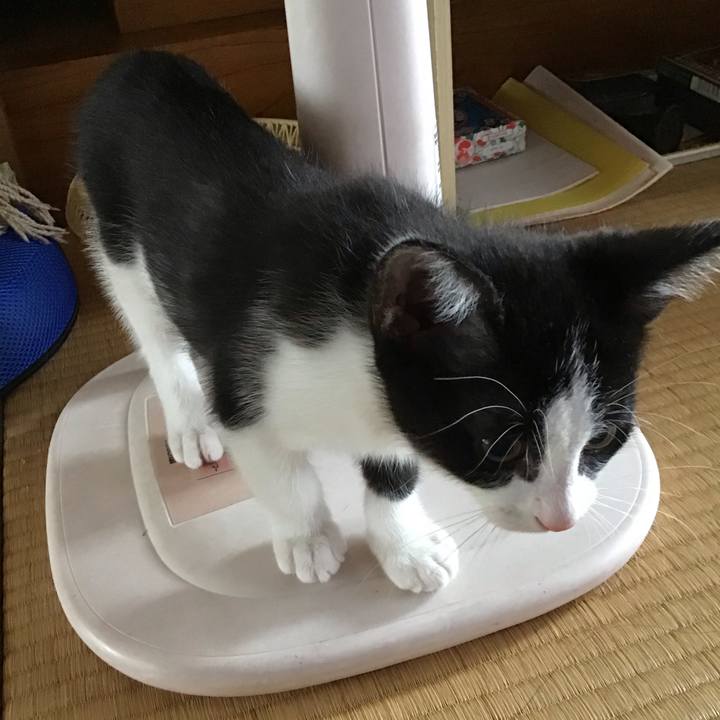 C1f57fc8 6491 42b5 873f 6da102b2bfec 1625108206690