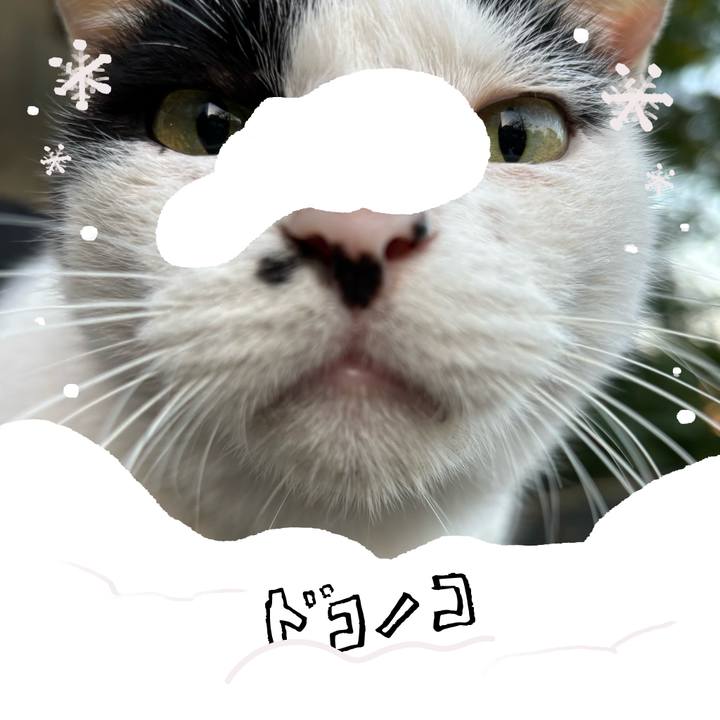 C1f5b867 2bb8 4a89 99c7 9e73836b47f3 1771845289066