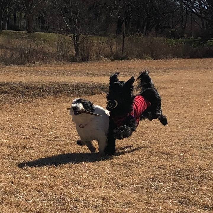 C1f6103a 6104 4fbc b5b7 2da610a1f74e 1549926238367