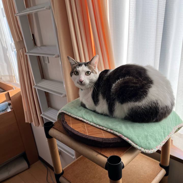 C1f6127a 1b37 4ad6 9fbc 20e75e177f37 1640302352430