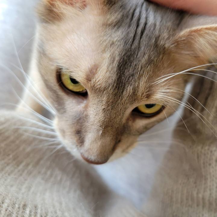 C1f616c8 1beb 4b4c a700 08d3c30944e1 1648862960429